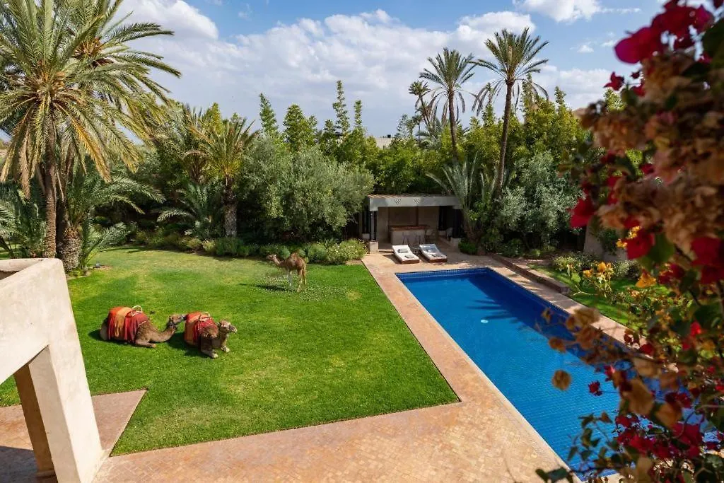 Villa Sahar Palmeraie Avec Piscine Chauffee ! 마라케시